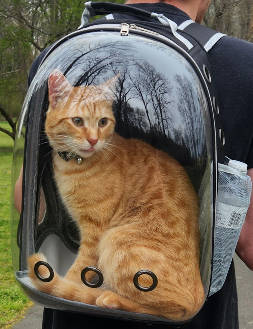 mochila-gato-acolchada-hebilla-pecho-espaciosa-viajes-paseos-diarios-ecuador
